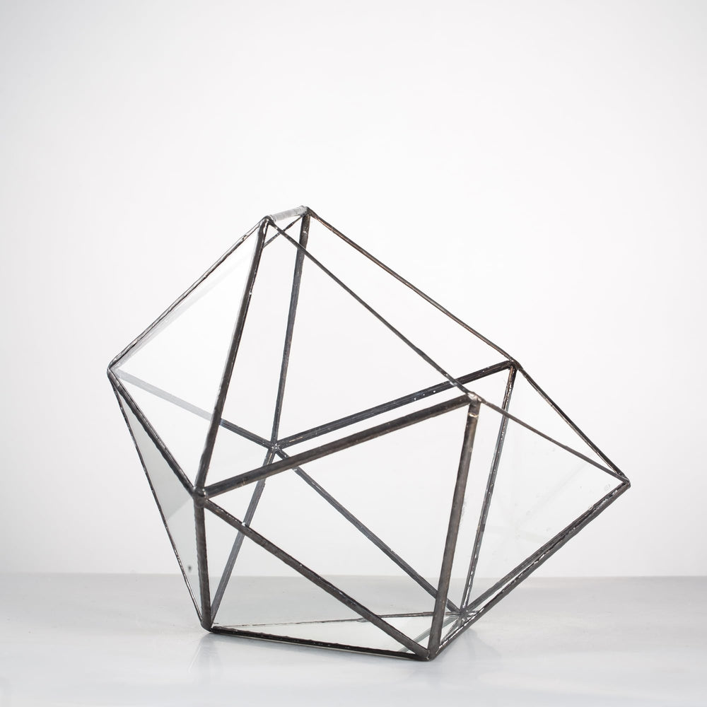 NCYP terrarium on living room table creating elegant centerpiece benefits