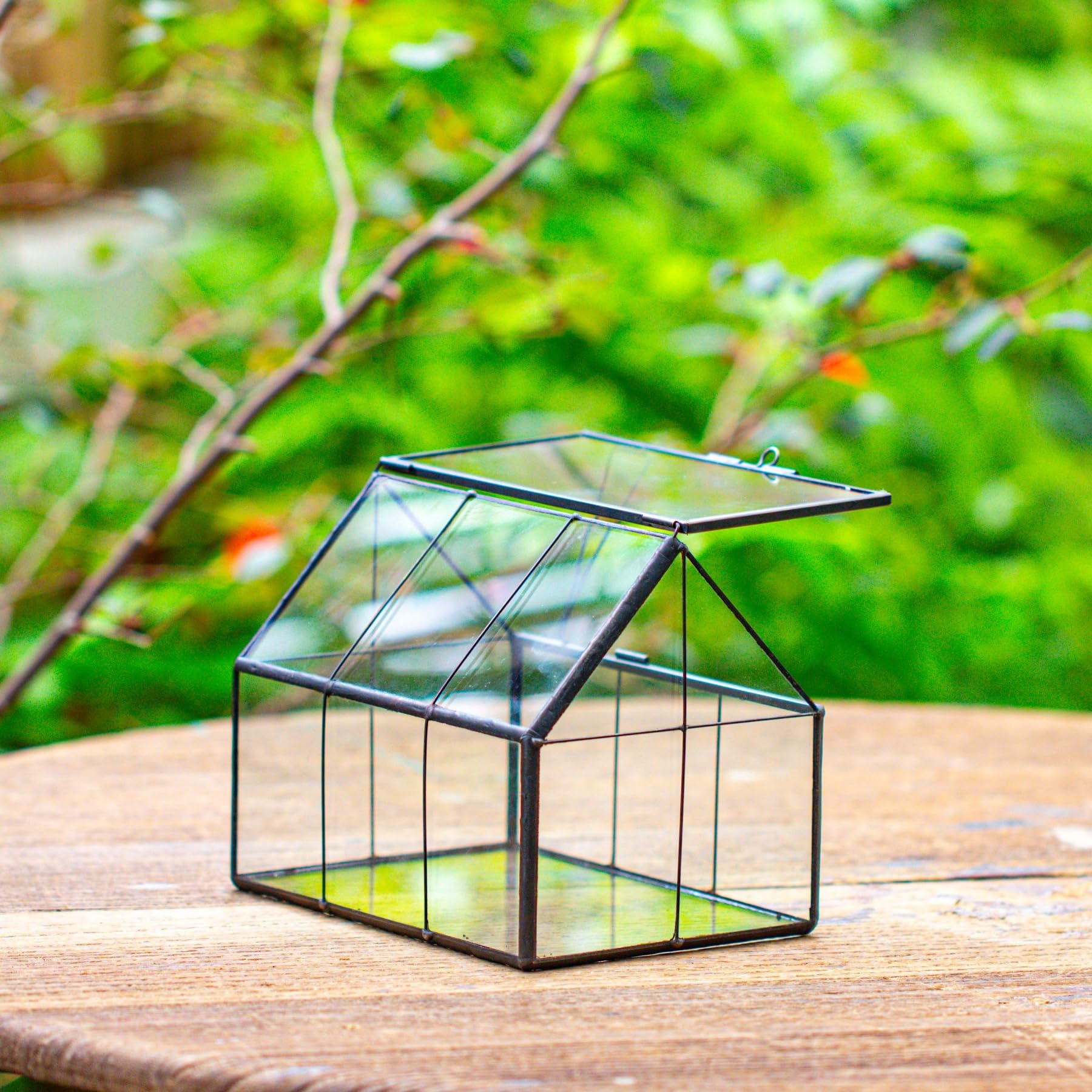 NCYP terrarium lit with LED lights showing safe ambient lighting benefit