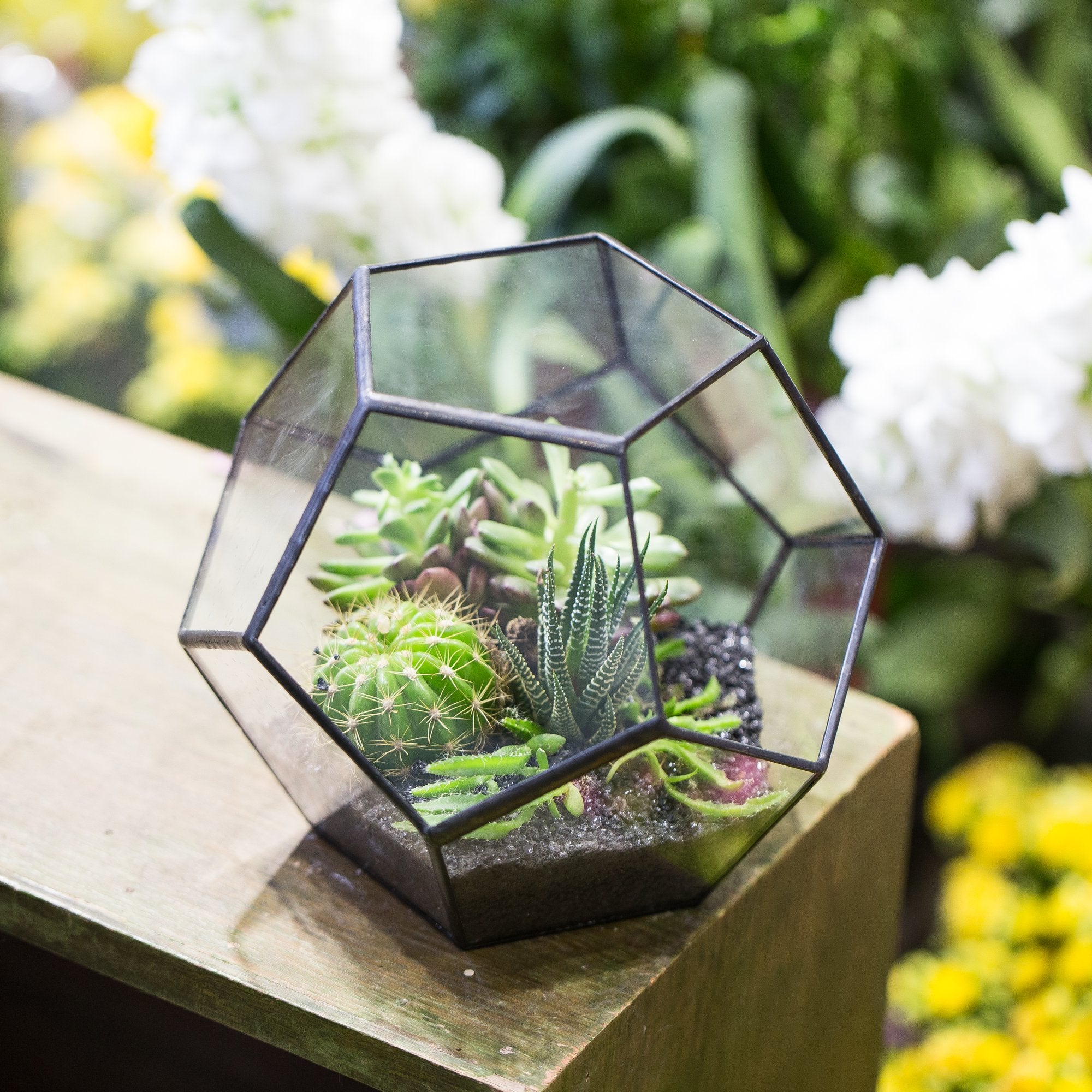 NCYP on shelf decor lifestyle showing how it elevates room decor benefit