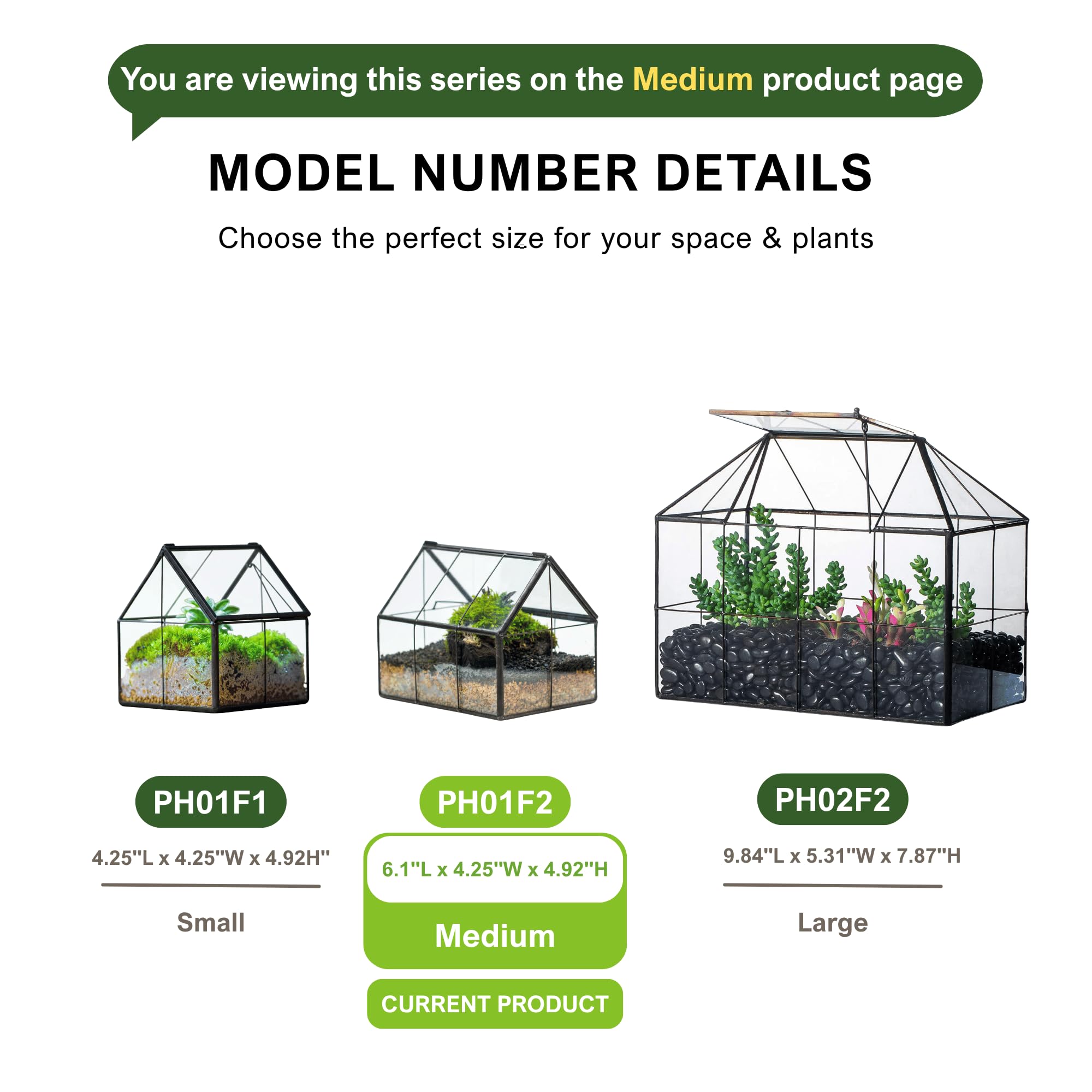 NCYP boxed terrarium showing packaging and gift-ready presentation benefit