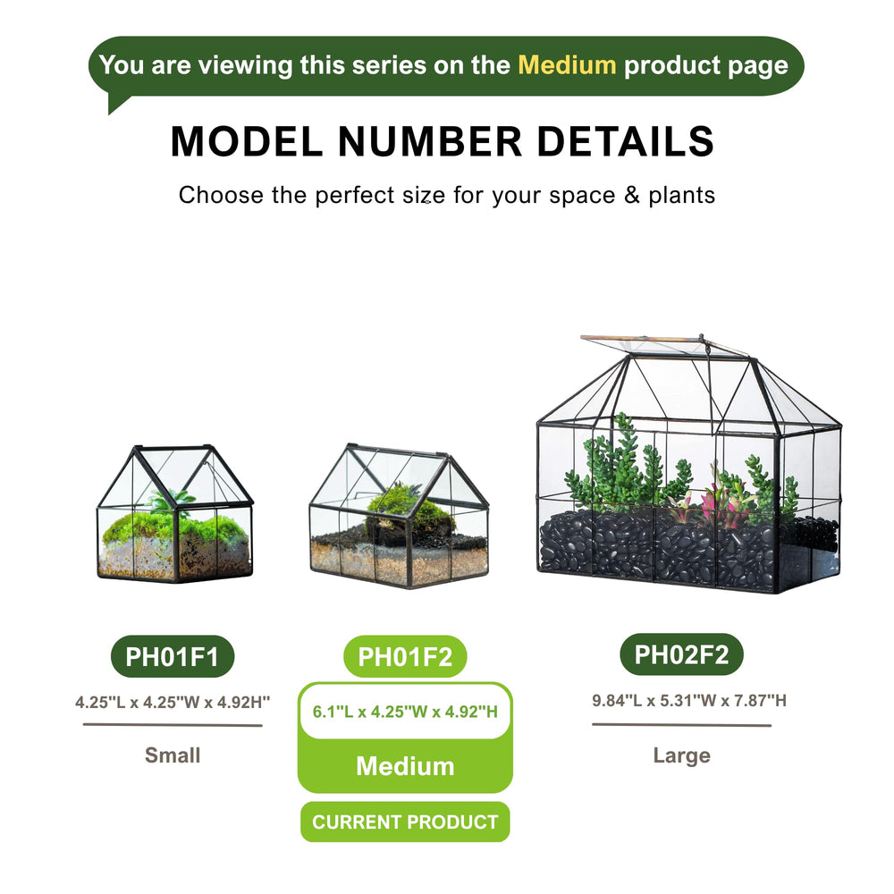 NCYP boxed terrarium showing packaging and gift-ready presentation benefit