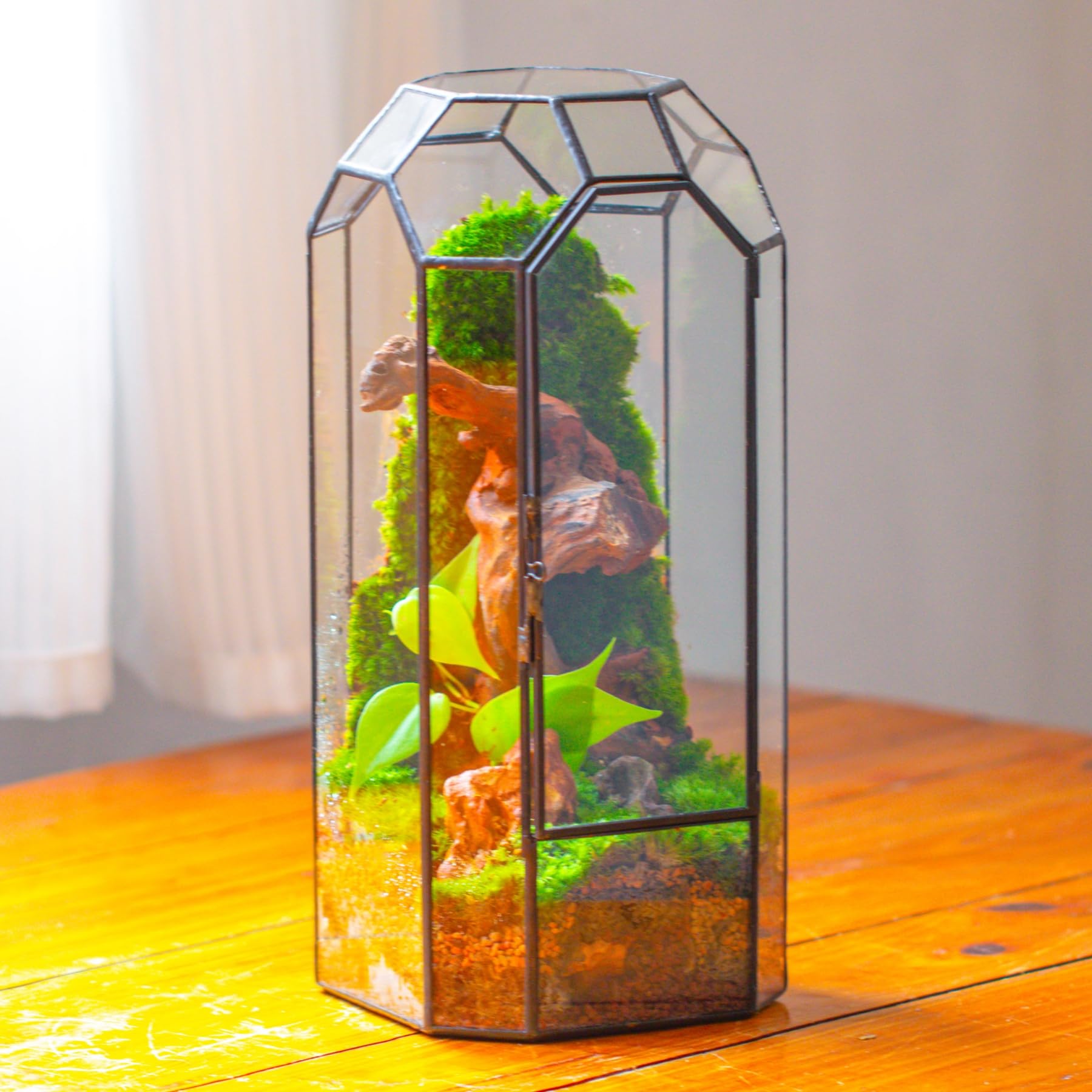 NCYP terrarium held in hand for scale showing compact height and tabletop suitability