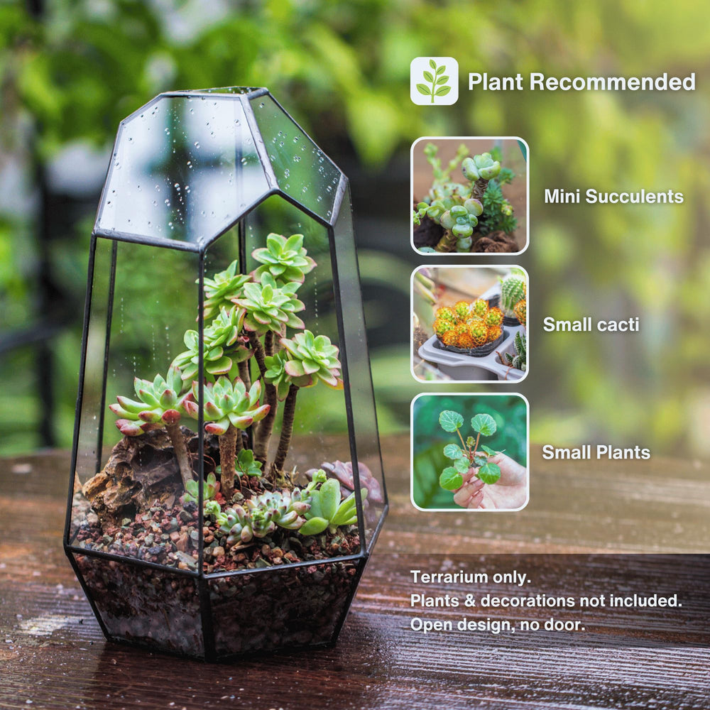 NCYP side angle emphasizing open-front design for easy planting and airflow