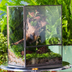 NCYP terrarium with side door open for planting showing easy-access benefit