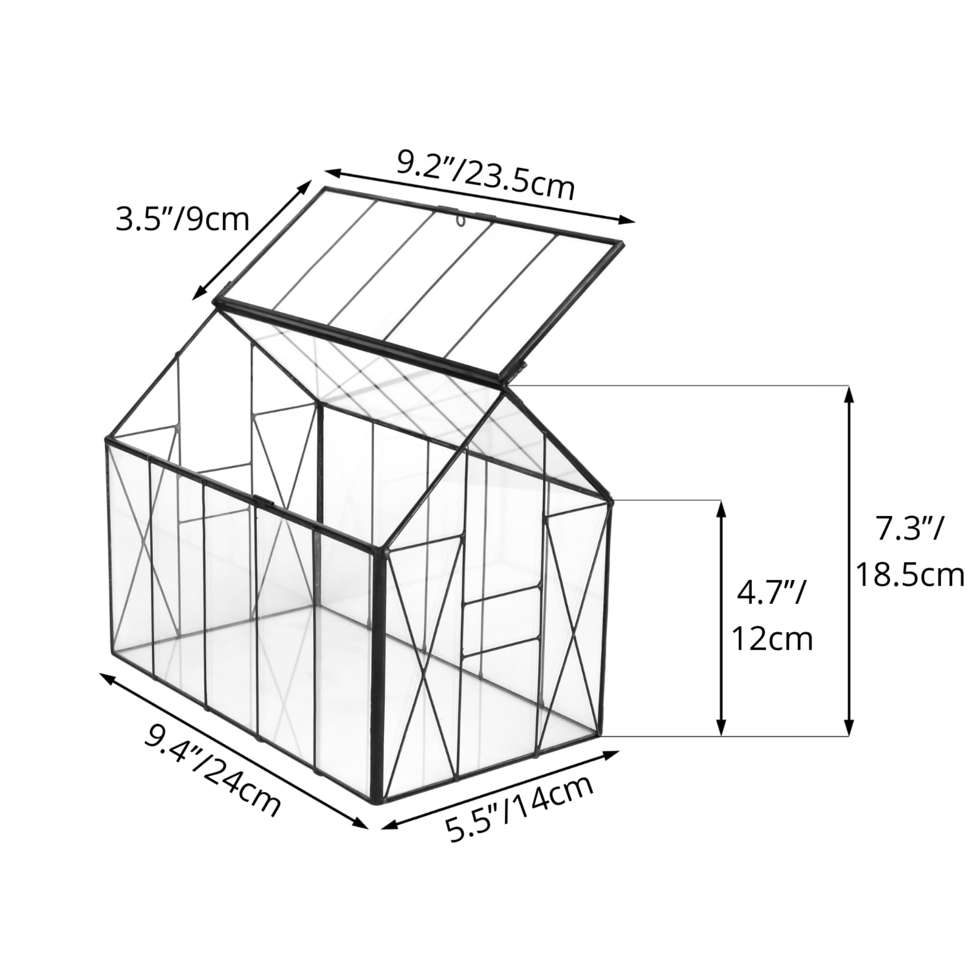 NCYP terrarium held in hand to show compact size and fit