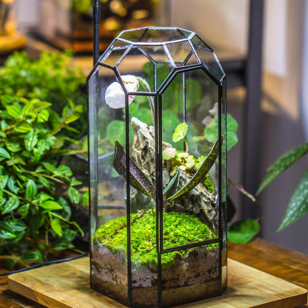 NCYP styled on a table among decor showing modern aesthetic and room enhancement