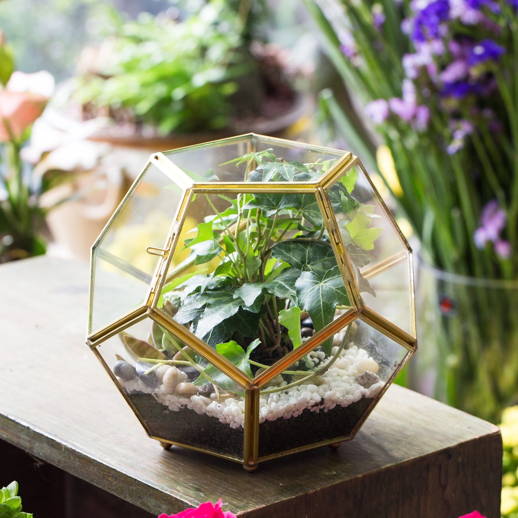 NCYP top angle geometric reflections showing light play and visual depth