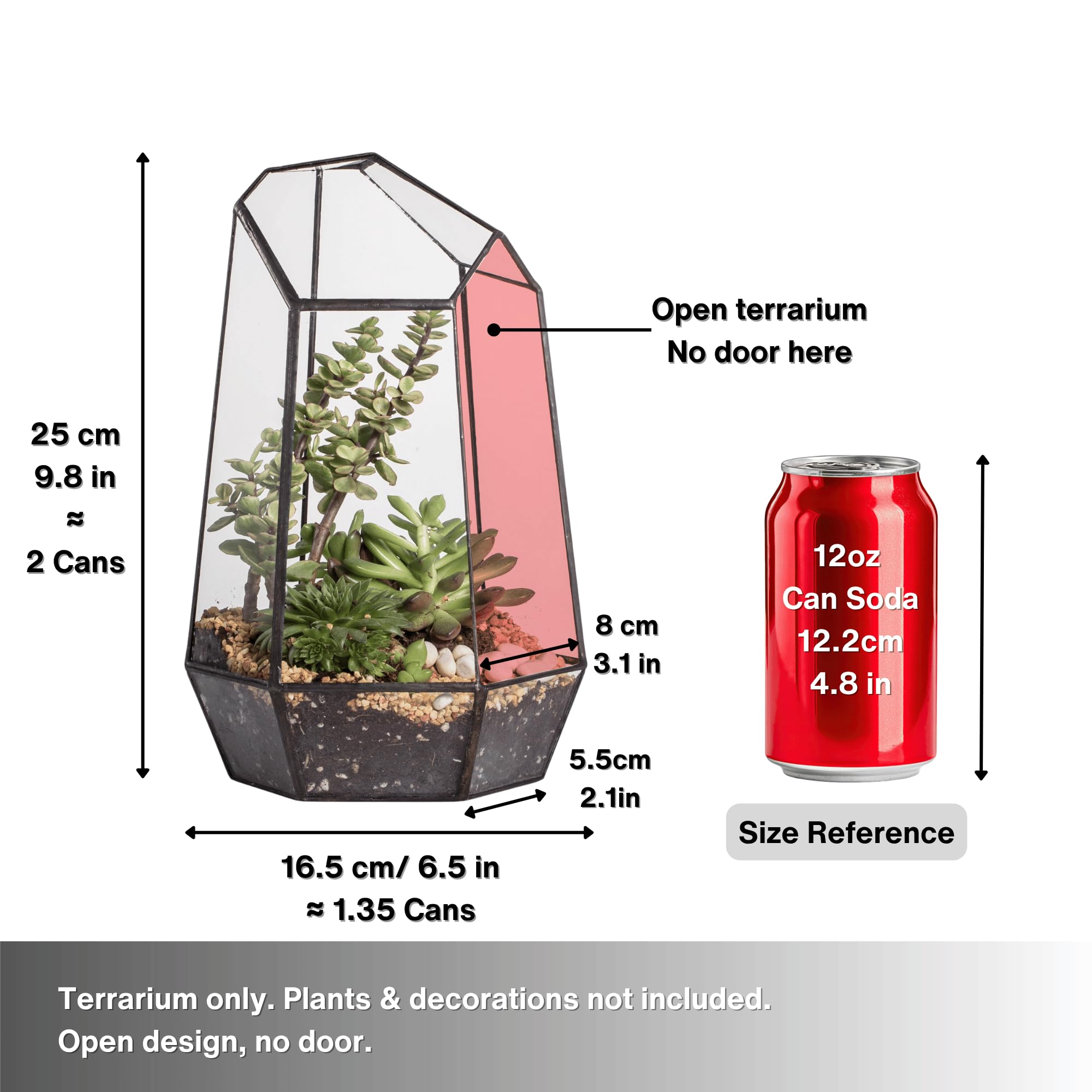 NCYP top-down shot showing interior depth and space for small plants