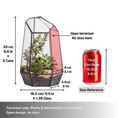 NCYP top-down shot showing interior depth and space for small plants