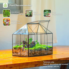 NCYP terrarium top swing door open for easy plant access and airflow