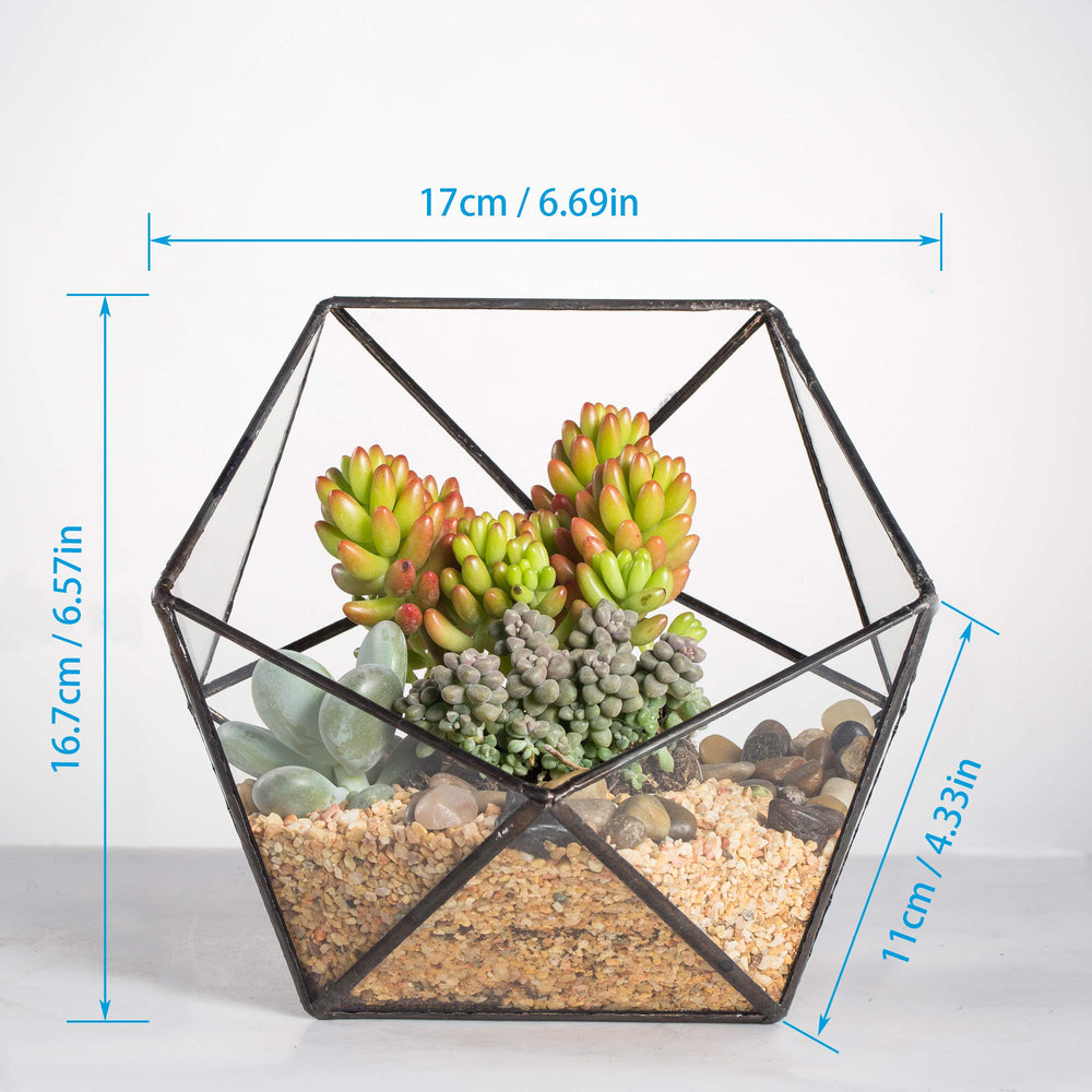 NCYP terrarium styled with succulent showing planting and tabletop appeal