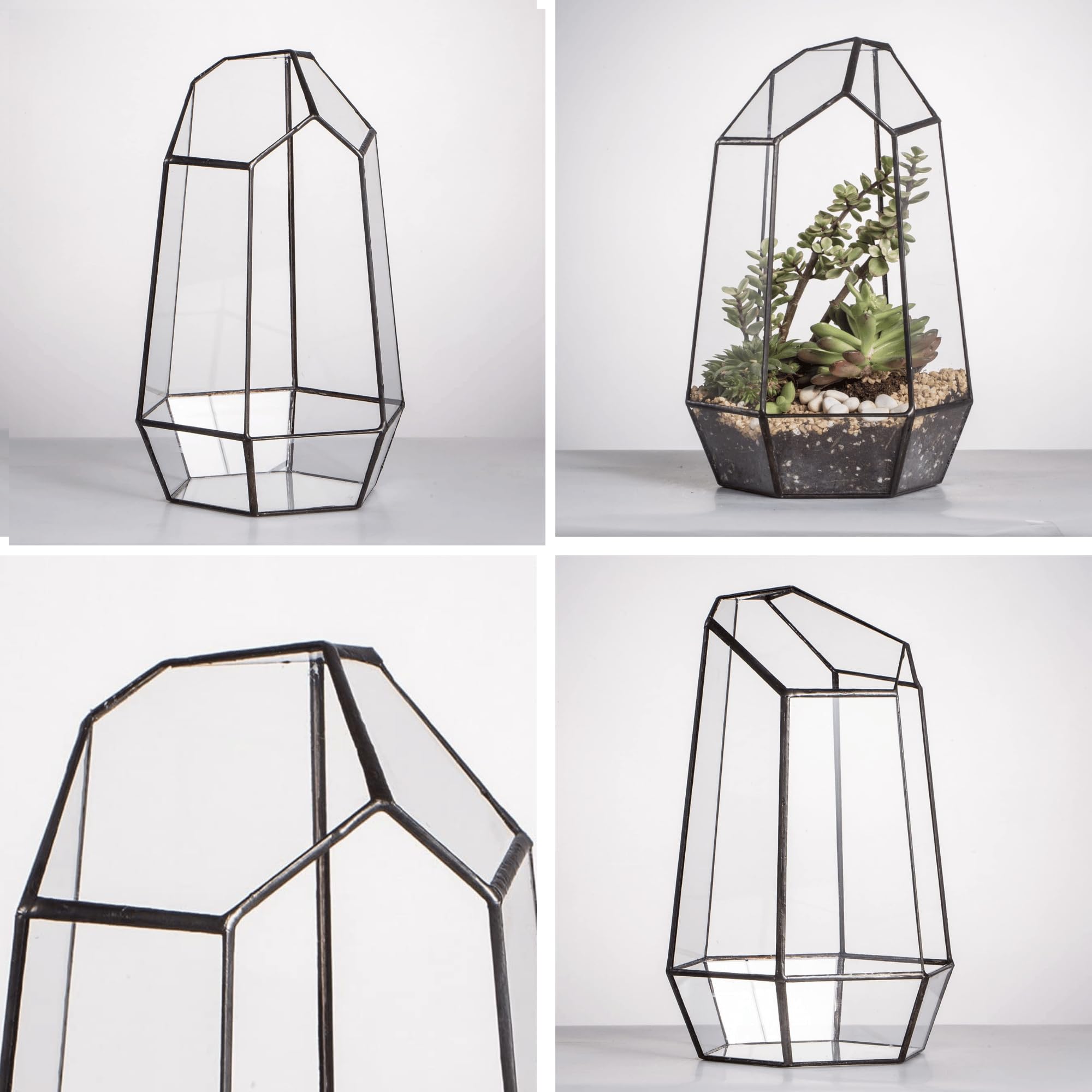 NCYP terrarium beside ruler showing exact dimensions for accurate placement