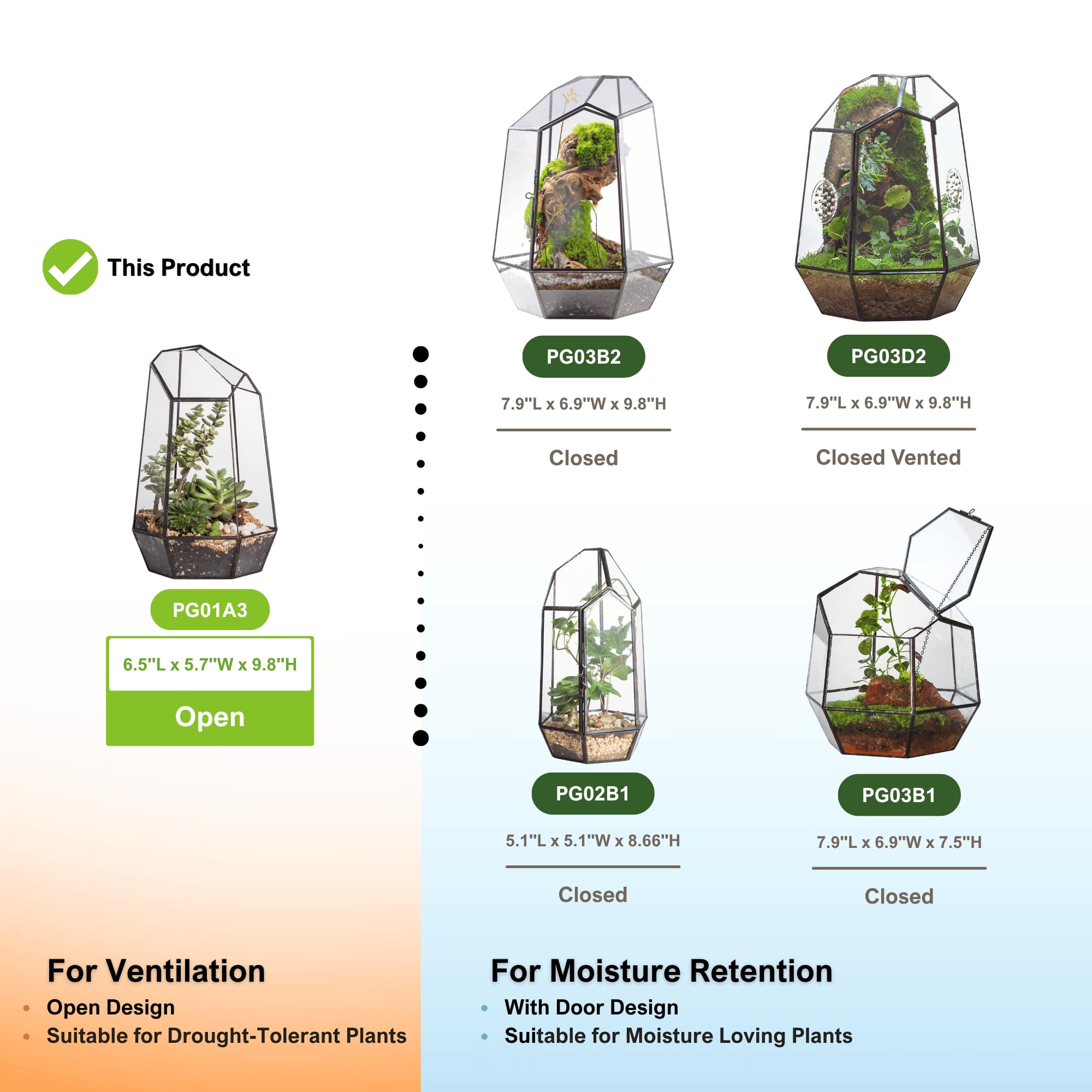 NCYP terrarium with small succulents demonstrating compact tabletop gardening