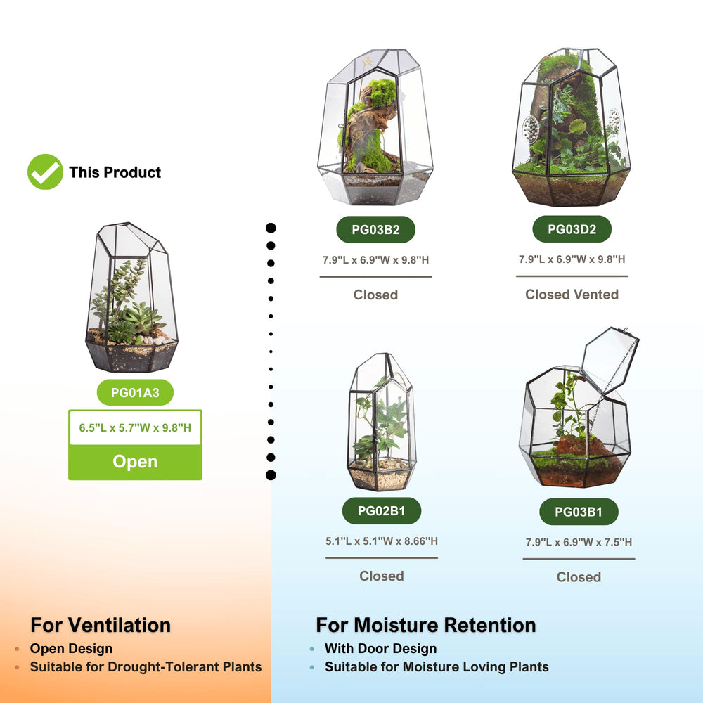 NCYP terrarium with small succulents demonstrating compact tabletop gardening