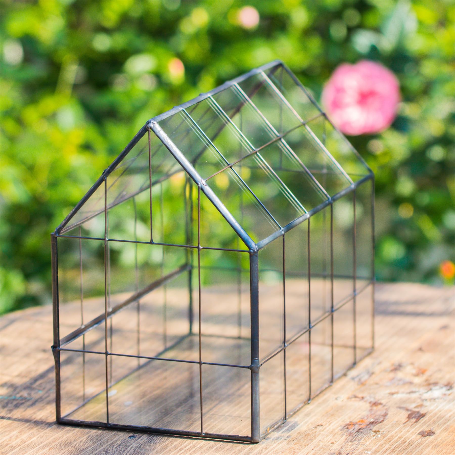 NCYP terrarium on windowsill in room showing how it brightens indoor spaces benefit