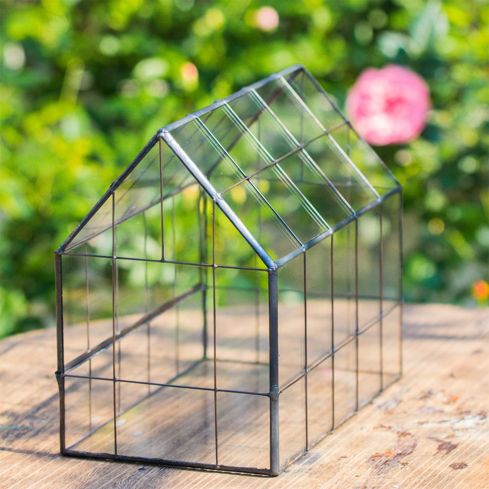 NCYP terrarium on windowsill in room showing how it brightens indoor spaces benefit