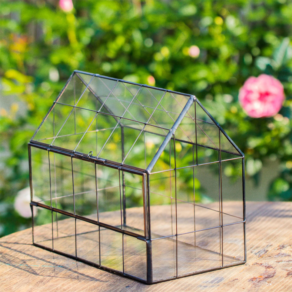 NCYP terrarium held in hand for scale demonstrating compact tabletop fit benefit