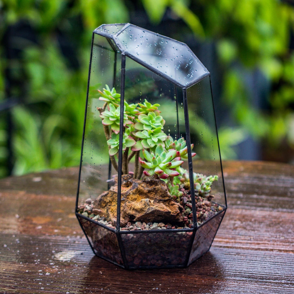 NCYP terrarium with tealight showing decorative versatility and ambient lighting