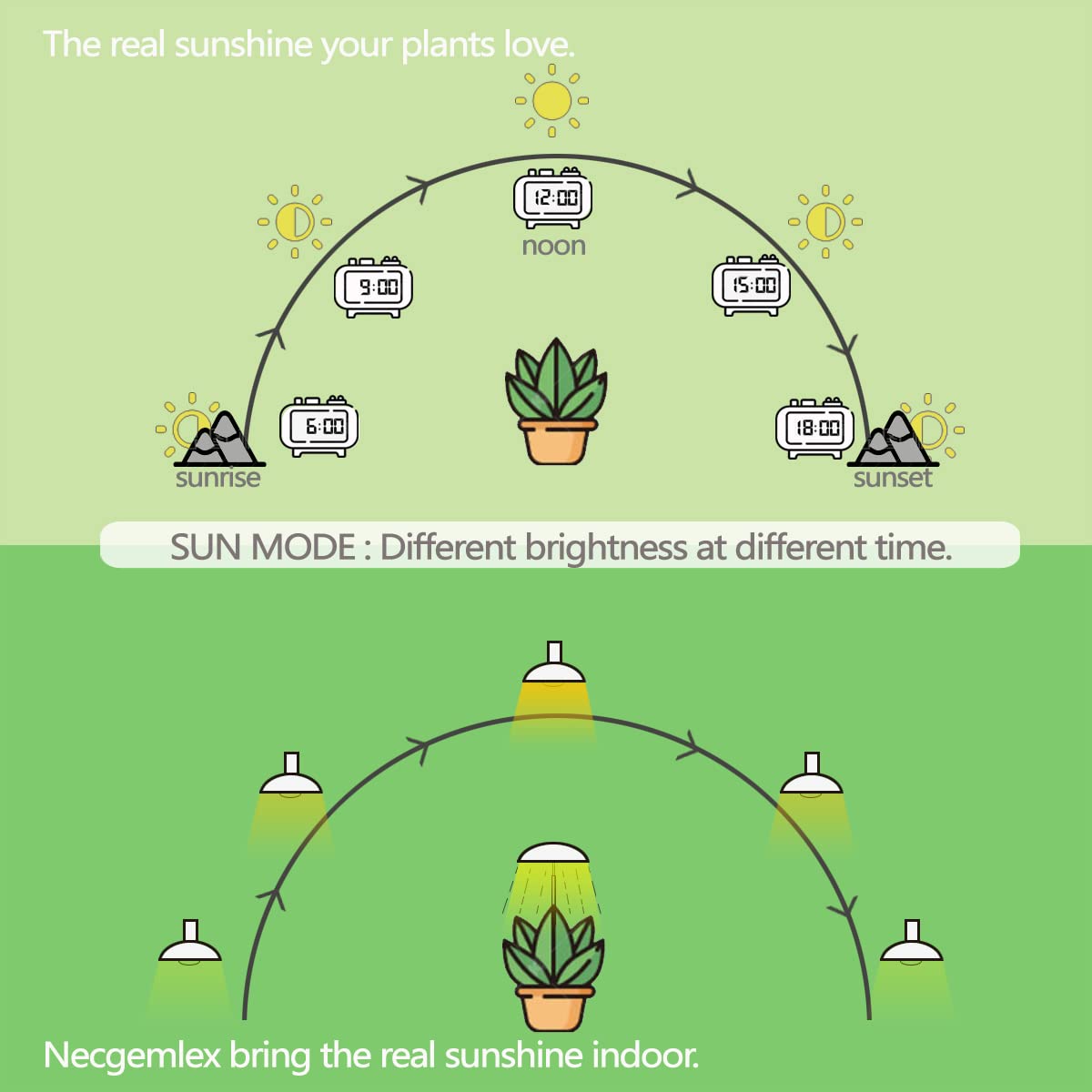 Necgemlex bulb installed in a table lamp providing comfortable plant lighting