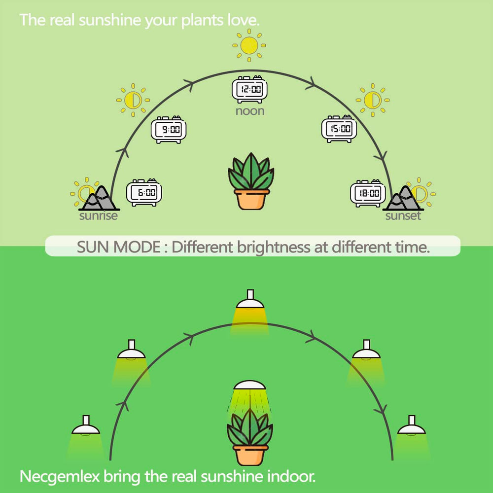 Necgemlex bulb installed in a table lamp providing comfortable plant lighting