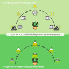 Necgemlex bulb installed in a table lamp providing comfortable plant lighting