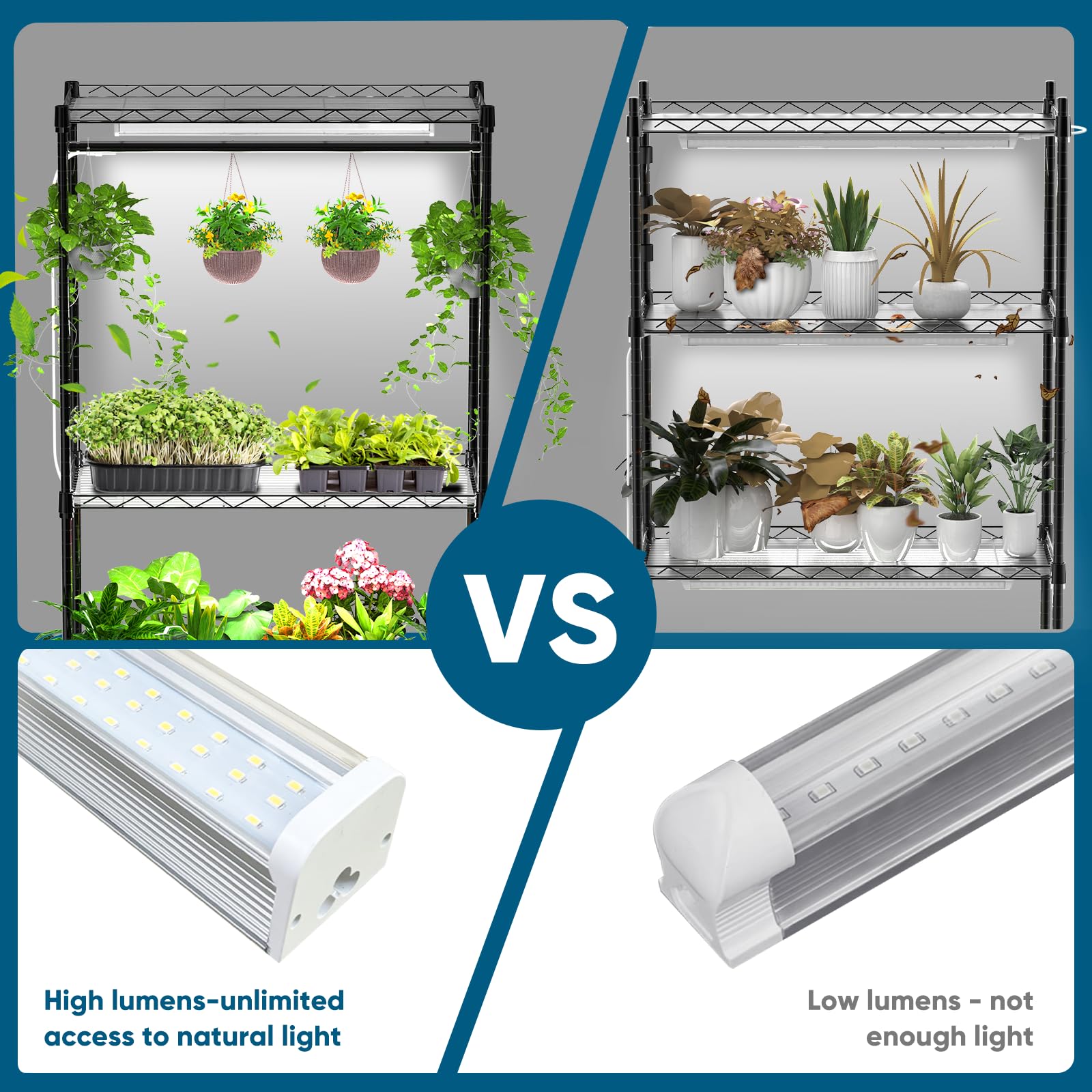 Nedechom hanging rod with trailing plant showing display and support benefit