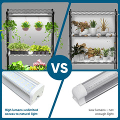 Nedechom hanging rod with trailing plant showing display and support benefit