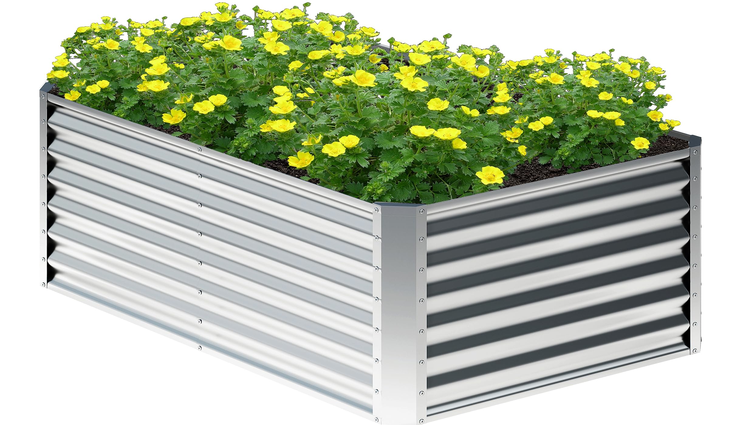 Nedenyou front view of galvanized raised bed showing roomy planting area