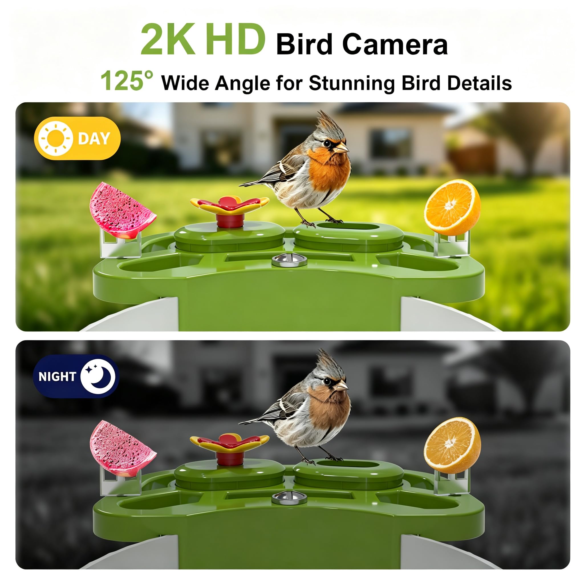 NEEZUKAR feeder with birds eating showing natural attraction and vivid video