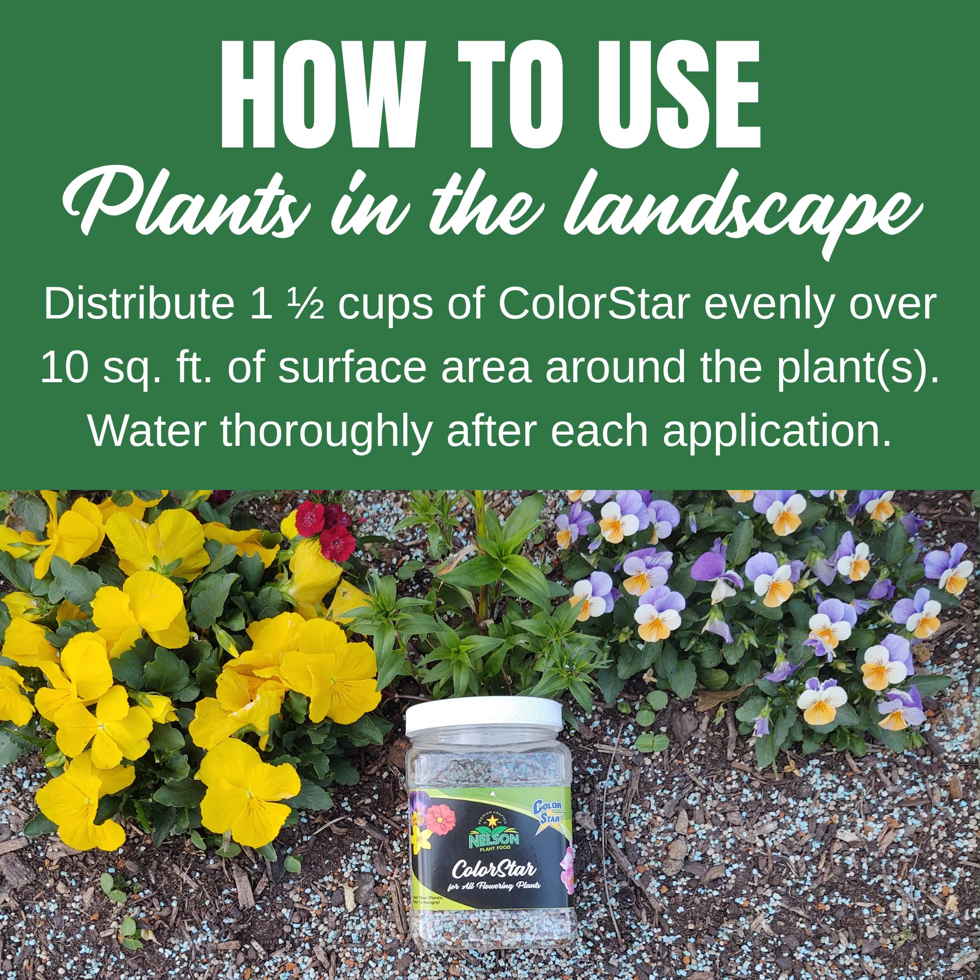 Nelson ColorStar measured with a spoon showing simple, controlled application benefit