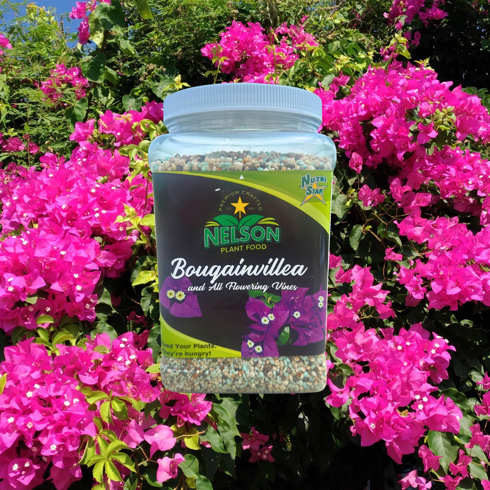 Nelson Plant Food granular close-up showing texture and slow-release formula for steady blooms