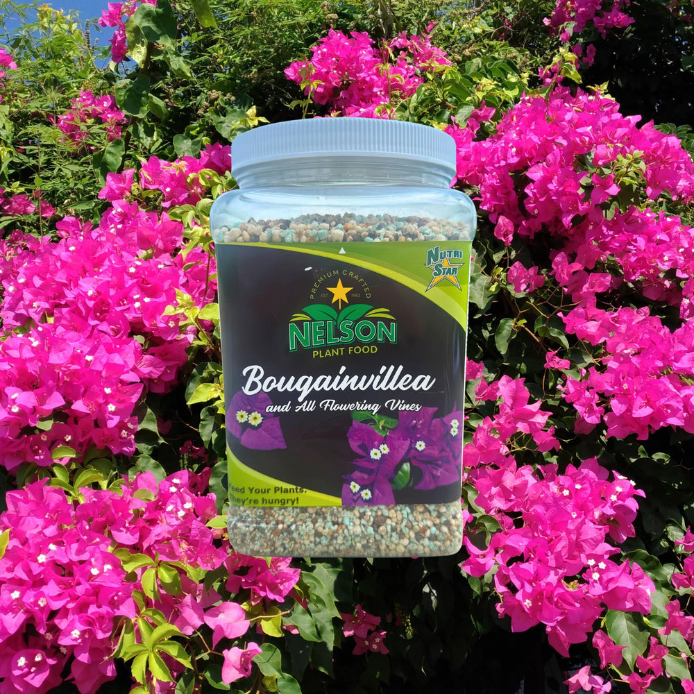 Nelson Plant Food granular close-up showing texture and slow-release formula for steady blooms