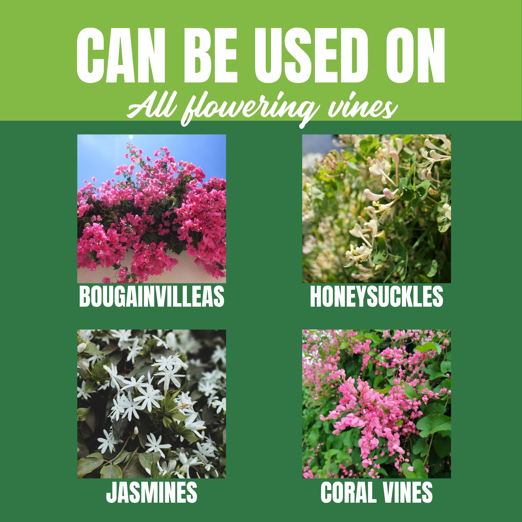 Nelson Plant Food used on a flowering vine in garden, showing vibrant blooms and improved color