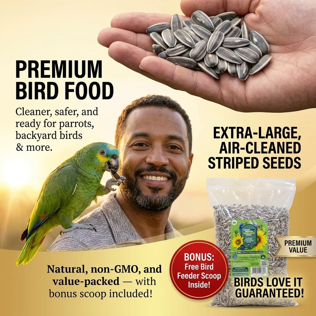 Nemeth Farms parrot eating a seed, displays appeal for pet parrots