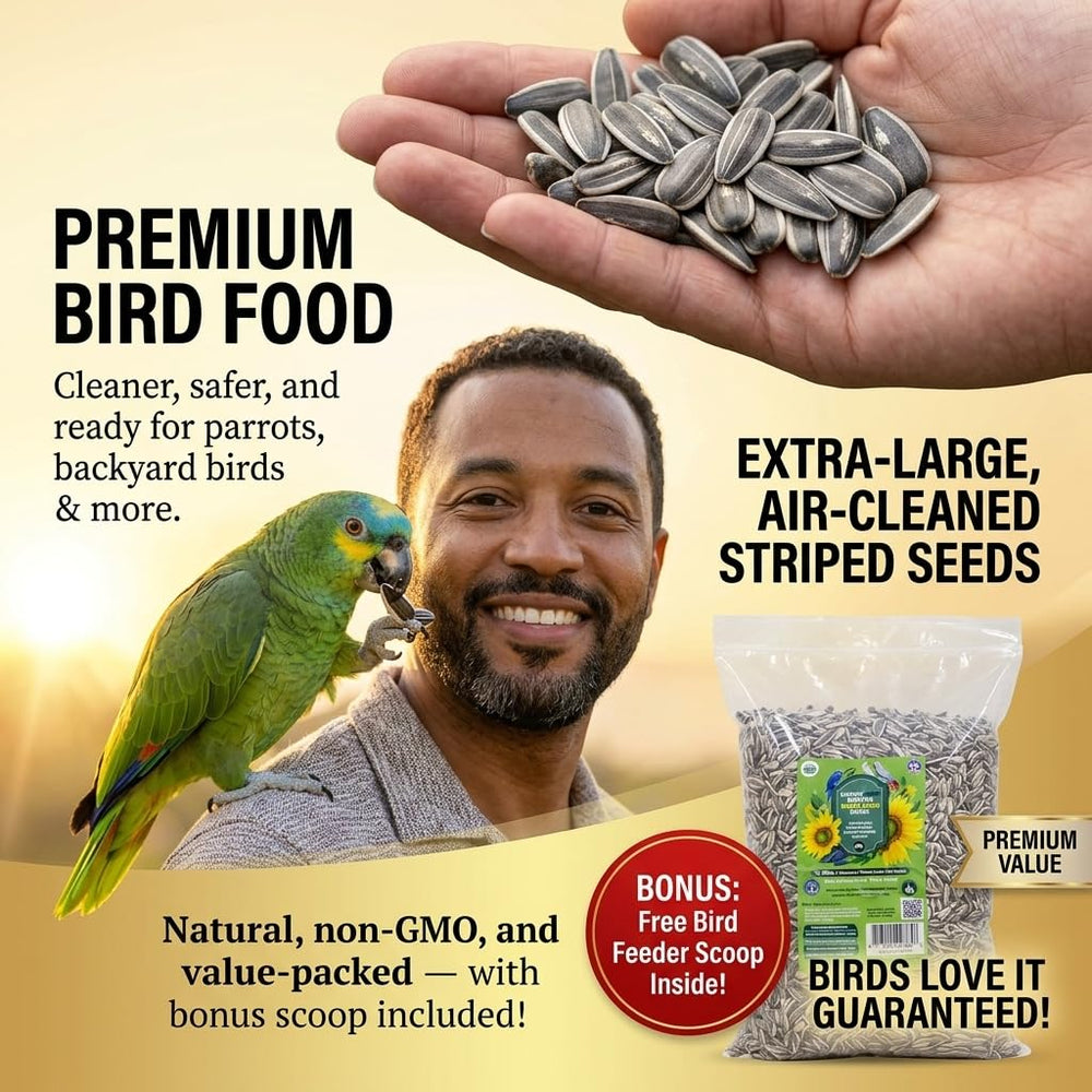 Nemeth Farms parrot eating a seed, displays appeal for pet parrots