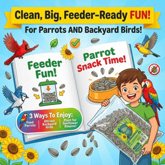 Nemeth Farms seeds poured into a large feeder, attracts big birds efficiently