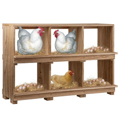 Neoaider front view showing six compartments and organized egg storage benefit