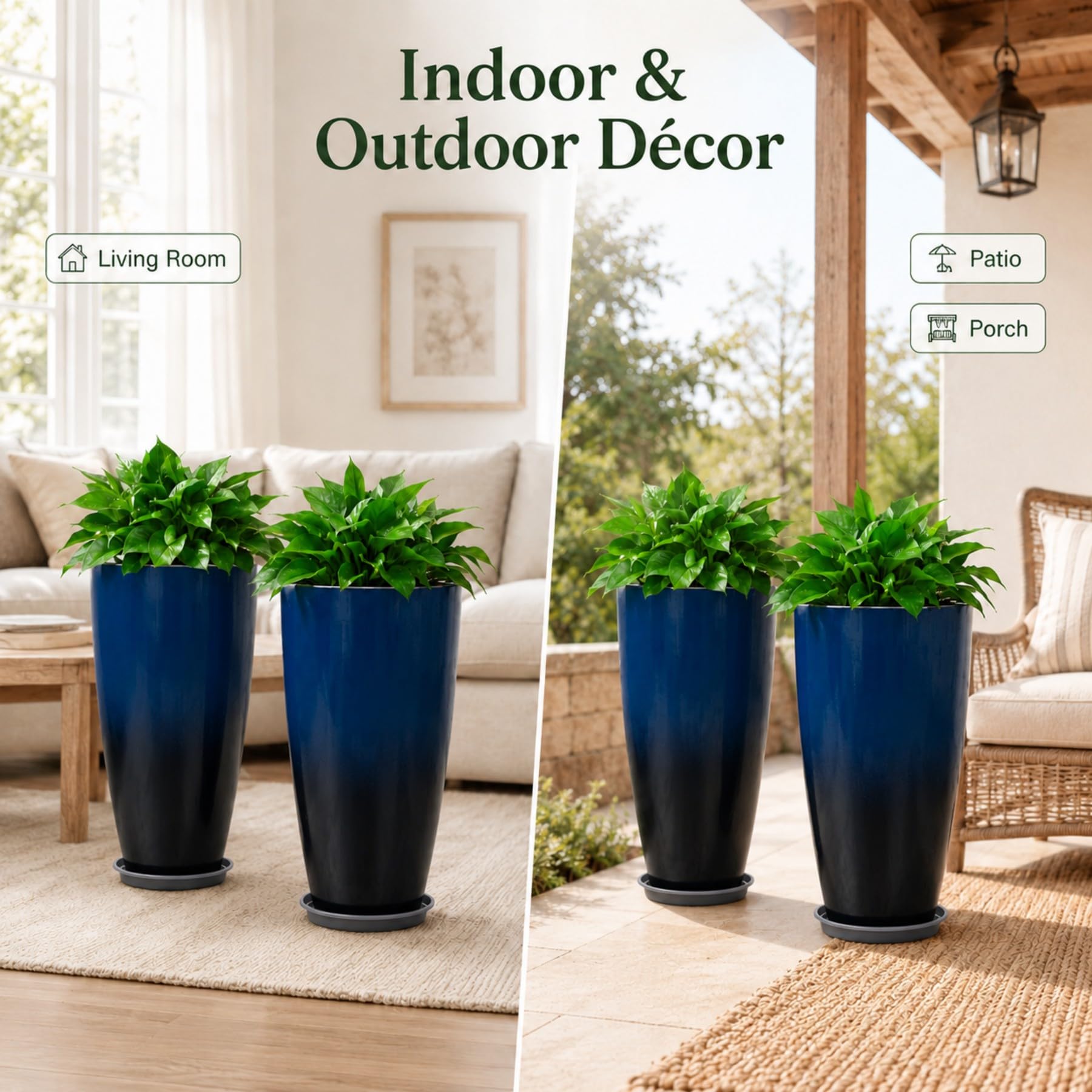 Neoaider label and finish detail emphasizing color consistency and quality