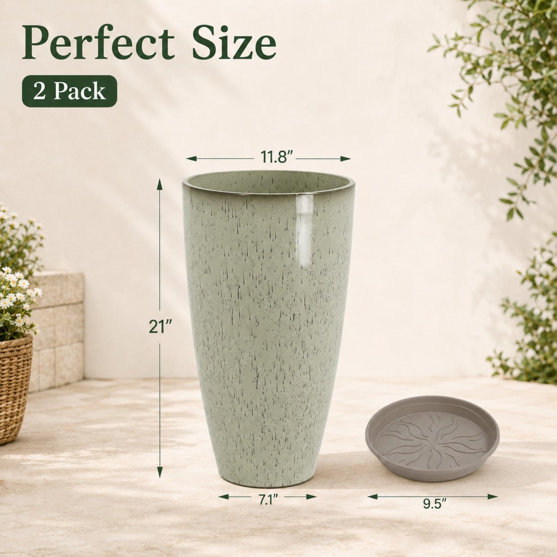 Neoaider side profile showing planter height and scale for large houseplants and shrubs