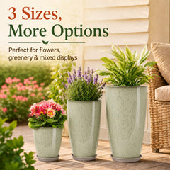 Neoaider 12-inch planter top view demonstrating compact gardening utility