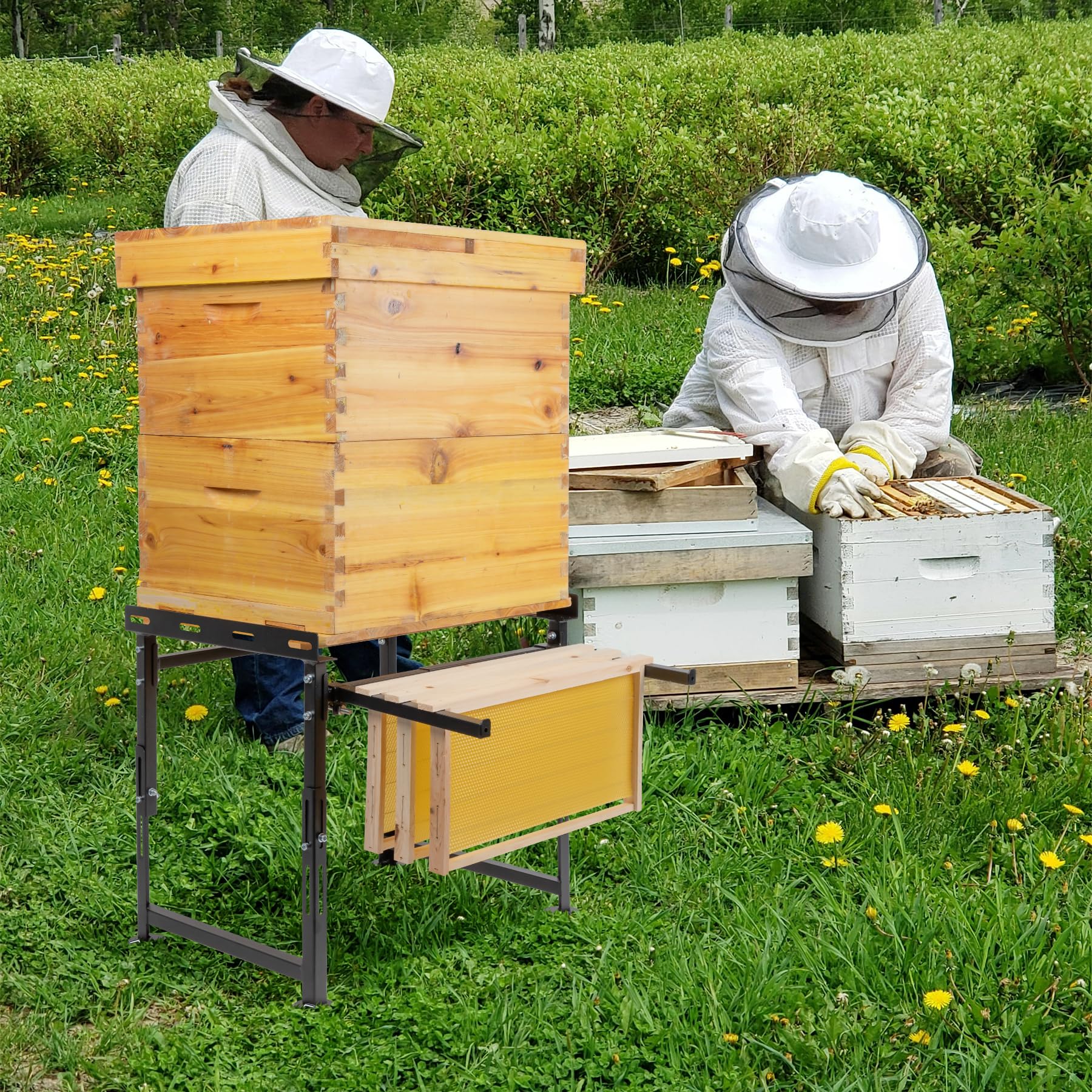 Neorexon lifestyle shot in apiary showing improved hive placement and access