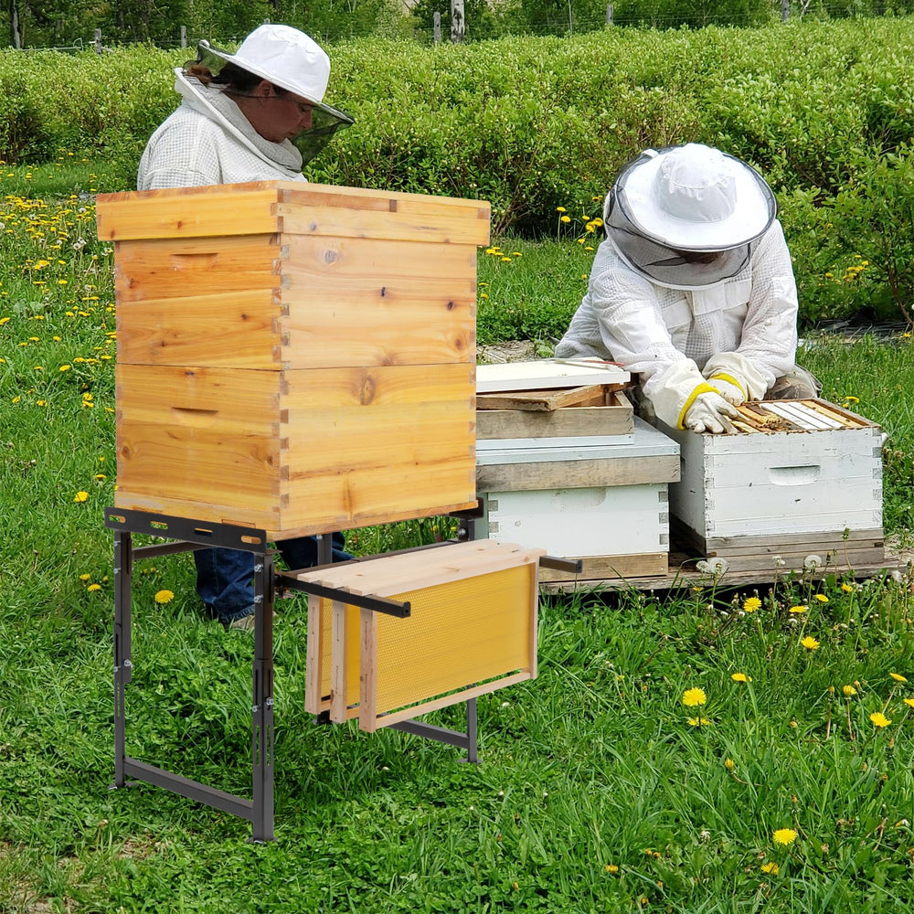 Neorexon lifestyle shot in apiary showing improved hive placement and access