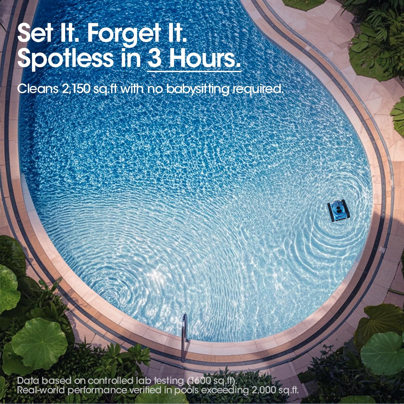 Nepturox display mapping a cleaning path for efficient full-pool coverage