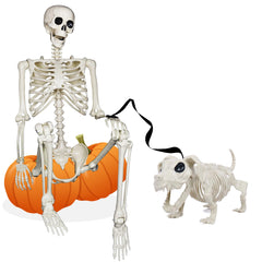 NEROSUN full front human and dog skeletons showing posed realism and scale