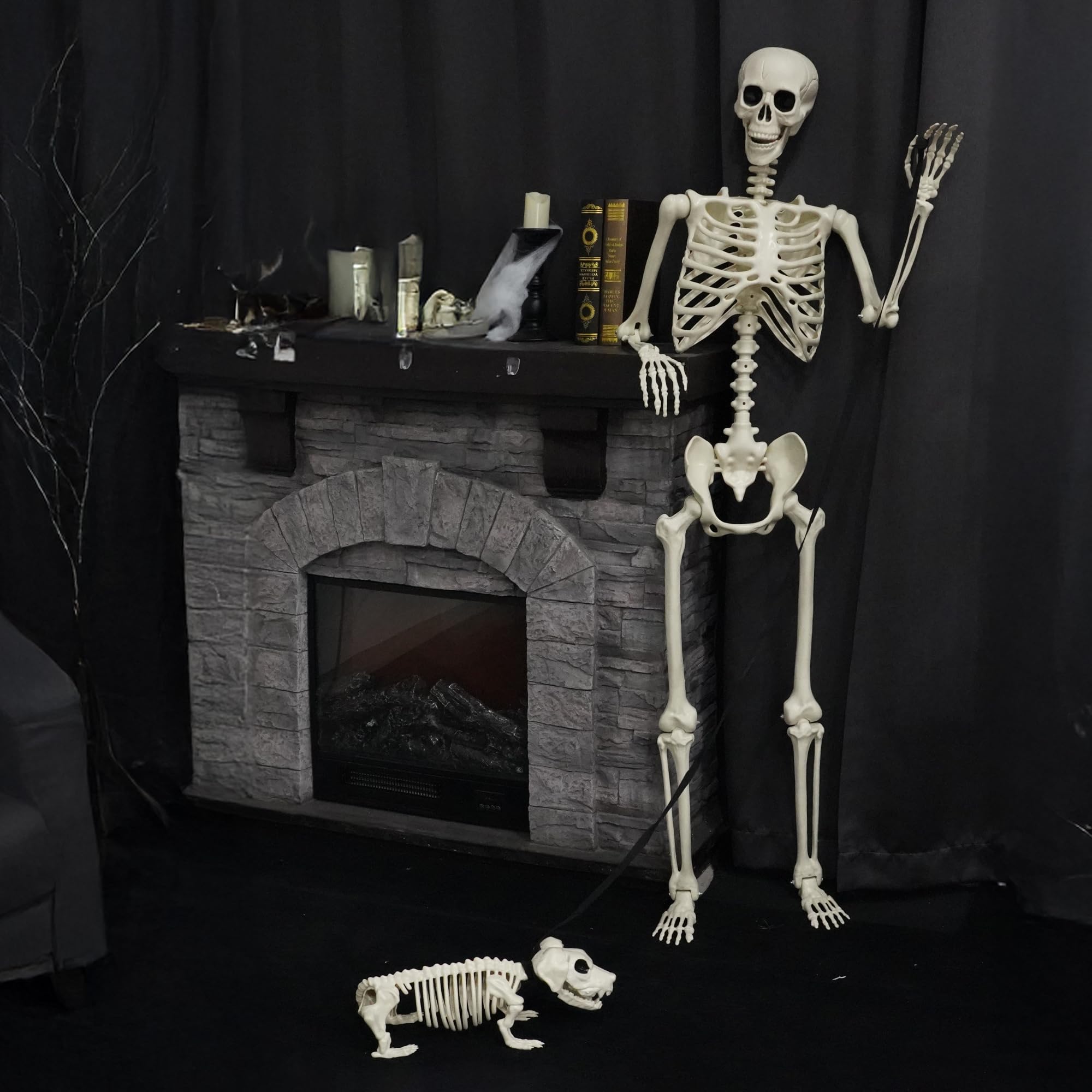 NEROSUN skeleton next to chair showing accurate 5.4FT human scale