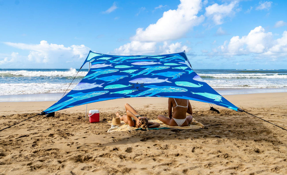 Neso front view packaged canopy showing compact carry convenience