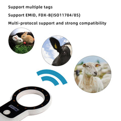 NetumScan scanning a dog collar demonstrating field use and quick identification benefit