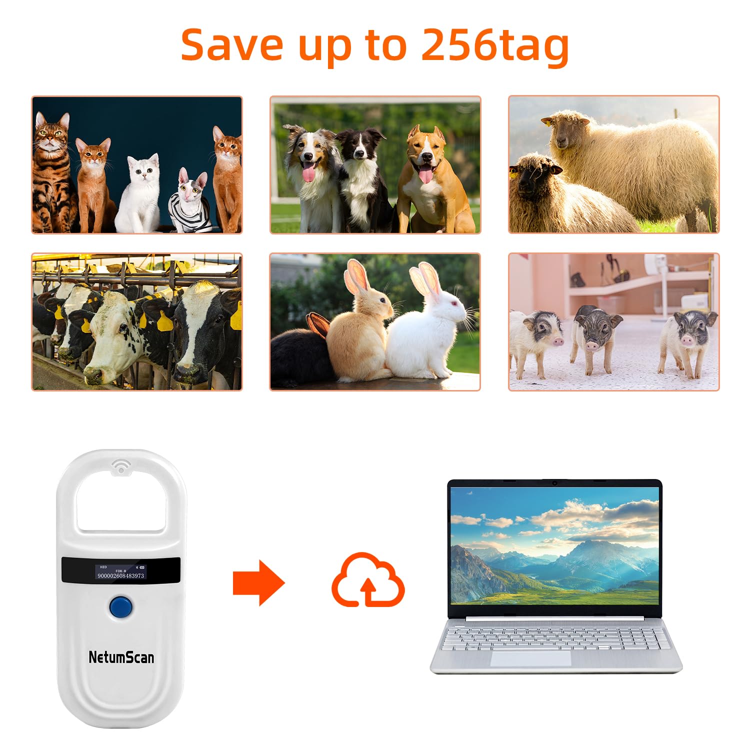 NetumScan scanning a dog collar demonstrating quick chip reads benefit