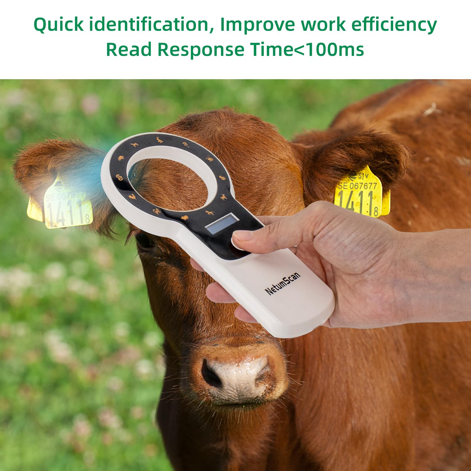 NetumScan held in hand for scale showing compact portability and easy transport benefit