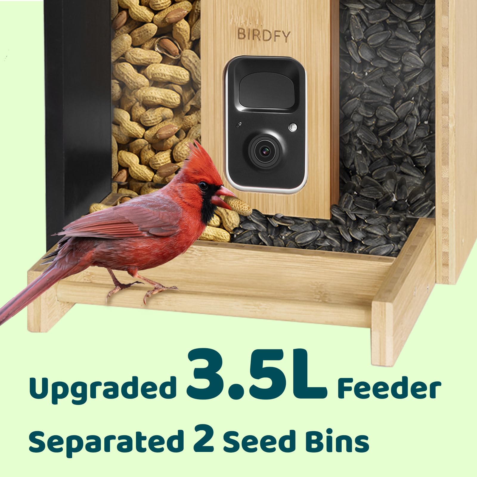 NETVUE Birdfy birds feeding in use demonstrating multiple visitors and lively backyard scenes